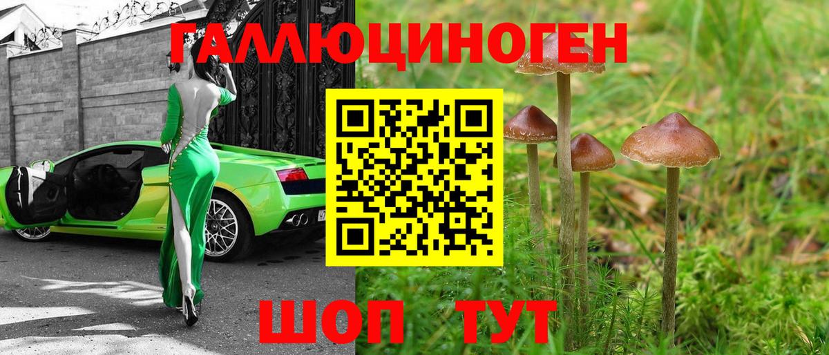 Галлюциногенные грибы Psilocybine cubensis  Вход с VPN  Лабинск  где продают наркотики  Псилоцибиновые грибы Magic Shrooms 